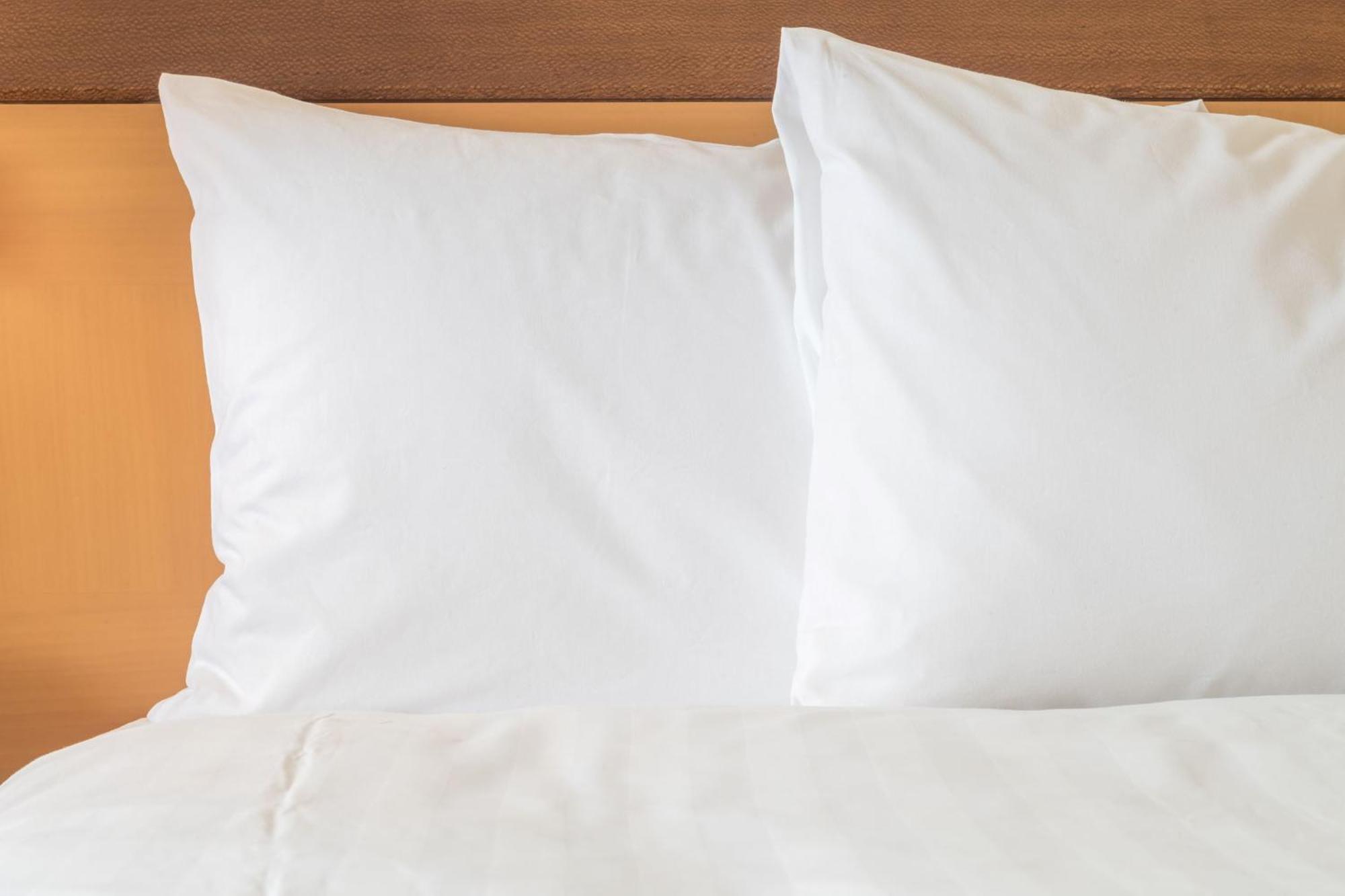 Holiday Inn Express Easton By Ihg מראה חיצוני תמונה